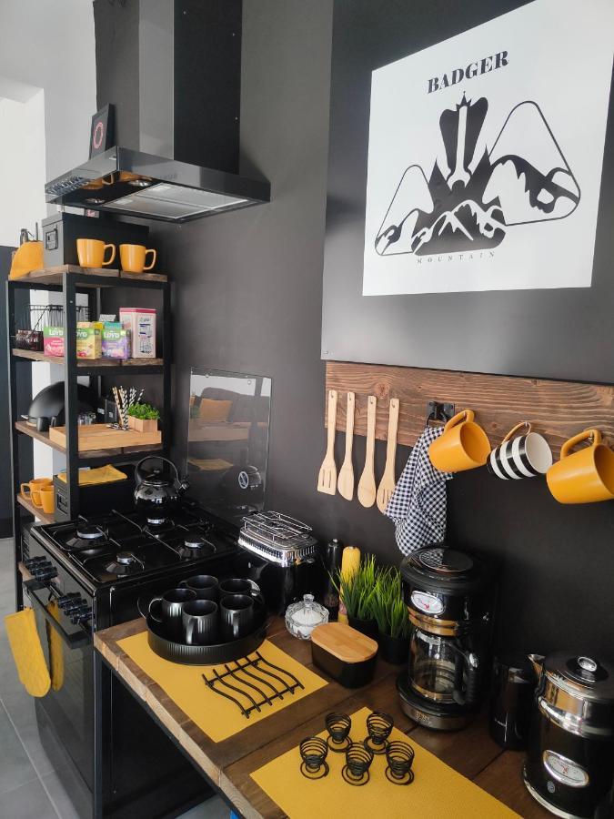 Apartment Mt Badger Centrum